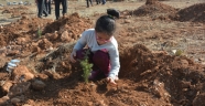 Kahramanmaraş'ta mahalleli çöplük alanı ormana dönüştürüyor