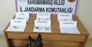 Kahramanmaraş'ta narkotik ve huzurlu sokaklar uygulaması