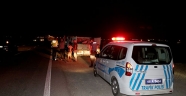 Kahramanmaraş'ta otomobilin çaptığı hayvanlar telef oldu