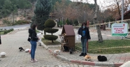 Kahramanmaraş'ta sokak hayvanları unutulmadı