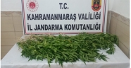 Kahramanmaraş'ta uyuşturucu operasyonu