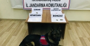Kahramanmaraş'ta uyuşturucu operasyonunda 13 kişi yakalandı