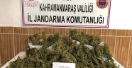 Kahramanmaraş'ta uyuşturucu operasyonunda 3 şüpheli gözaltına alındı