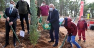 Kahramanmaraş'ta yanan ormanlık alan çocukların eliyle yeşerecek