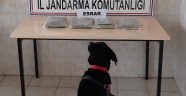 Kahramanmaraş'ta yolcu otobüsünde 2 kilogram esrar yakalandı