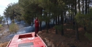 Kahramanmaraş'ta zeytinlik alanda yangın