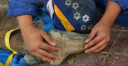 Kahramanmaraş'tan yangında zarar gören bölgelere hayvanlar için mama ve ilaç gönderildi