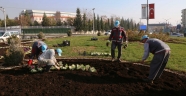 Kavşaklar Çiçek Açtı