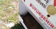 Kedi ve köpek evlerine mamalar bırakılıyor