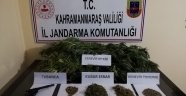 KENEVİR BİTKİSİ VE RUHSATSIZ TABANCA ELEGEÇİRLDİ