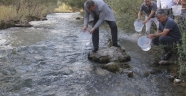 KIRMIZI BENEKLİ YAVRULAR TÖRBÜZEK ÇAYI İLE BULUŞTU