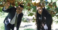 KİVİLERİMİZDE HASAT YAKLAŞIYOR