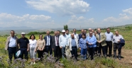 KSÜ HABERLERİ (2)