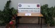 Kubar Esrar maddesi ele geçirildi