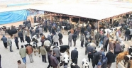 KURBAN SATIŞ VE KESİM YERLERİ BELİRLENDİ