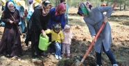 KUTLU DOĞUMA ÖZEL FİDAN DİKİMİ