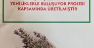 LAVANTA KOKULU ŞEHİR KAHRAMANMARAŞ