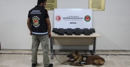 Mersin Limanı'nda yaklaşık 24 kilogram kokain yakalandı