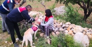 Mersin'de 17 yaşındaki kayıp kız arazide uyurken bulundu