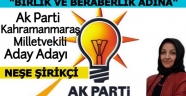 NEŞE ŞİRİKÇİ AK PARTİ MİLLETVEKİLİ ADAY ADAYI