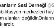 O habere hayvanseverlerden tepki yağdı