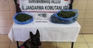 Olay ile ilgisi bulunan H.Y, H.V.K. isimli (2) şüpheli şahıs yakalandı