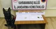 Olaya karışan (10) şüpheli şahıs yakalandı