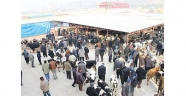 ONİKİŞUBAT İLÇESİ KURBANLIK SATIŞ VE KESİM YERLERİ