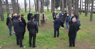 Ormanlara yapay zekalı fotokapanlar