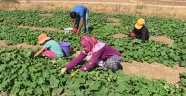 Pandemi sürecinde iş bulamayan kişiye hayırseverler sahip çıktı