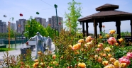 Park ve bahçeler faaliyete hazırlanıyor