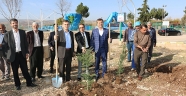 PAZARCIK BELEDİYESİ BİSİKLET VE YÜRÜYÜŞ PARKURU ETRAFINDA FİDAN DİKİMİ YAPILDI