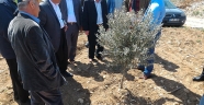 PAZARCIK ÇİFTÇİLERİNE ZEYTİNDE BUDAMA EĞİTİMİ VERİLDİ