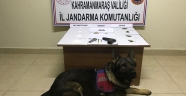 PAZARCIK İLÇESİ GENELİNDE UYUŞTURUCU OPERASYONU