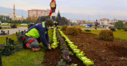 Şehir Çiçeklerle Renklendi