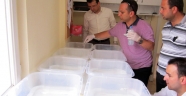SİNEK MÜCADELESİ