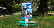 SOKAK HAYVANLARI İÇİN BÜYÜKŞEHİR HER YERDE