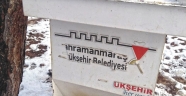 Sokaktaki Canlar Unutulmadı