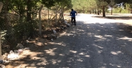 Tarihi Taşköprü’nün etrafı temizlendi