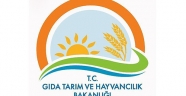 “TARIMDA GENÇ GİRİŞİMCİ KADINLAR GÜÇLENİYOR PROGRAMI”