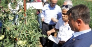 TARIMSAL YENİLİKLERİN YAYGINLAŞTIRILMASI YAYIM PROJELERİ DEVAM EDİYOR