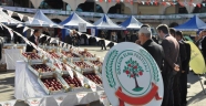 TKDK 4.GÖKSUN ELMA FESTİVALİNE RENK KATTI