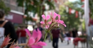 TRABZON CADDESİ’NE İNSAN SELİ
