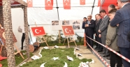 TÜRKOĞLU’NDA 18 MART ÇANAKKALE ZAFERİ ANISINA RESİM SERGİSİ DÜZENLENDİ