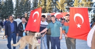 TÜRKOĞLU'NDAN HOLLANDA'YA TEPKİ
