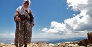 Uludaz Tepesi'ndeki uğur böceklerine vatandaş ilgisi