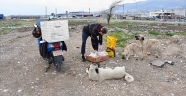 Üniversiteli genç, sokak hayvanları için aldığı motosikletiyle 