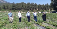 ÜRETİM KONTROL ALTINDA