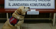 UYUŞTURUCU MADDE TİCARETİ YAPAN ŞAHISLARA