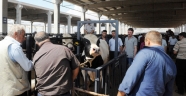 VATANDAŞLAR CANLI HAYVAN BORSASI’NDAN MEMNUN
